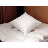 HS12 Kissen 80x80  100 %  FEDERN 2000 G