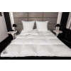 HS68 Matratzenauflage 180  x 200   - 90 %  Federn  - 10 % Daunen 5000 G - BWT