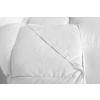 HS72 Matratzenauflage 160  x 200   - 70 %  Daunen – 30 % Federn 4800 G - BWT