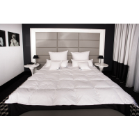 HS33 Decken 155x200   70/30  DAUNEN - WINTER 1700 G