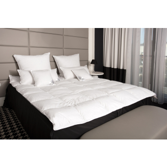 HS31 Decken 155x200   70/30  DAUNEN - GANZJAHRES 1100 G.