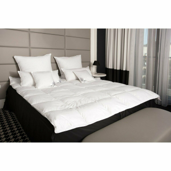 HS78 Decken 200x200cm 15/85  Daunen/Federn Sommer 1000 G