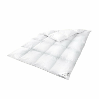 HS78 Decken 200x200cm 15/85  Daunen/Federn Sommer 1000 G